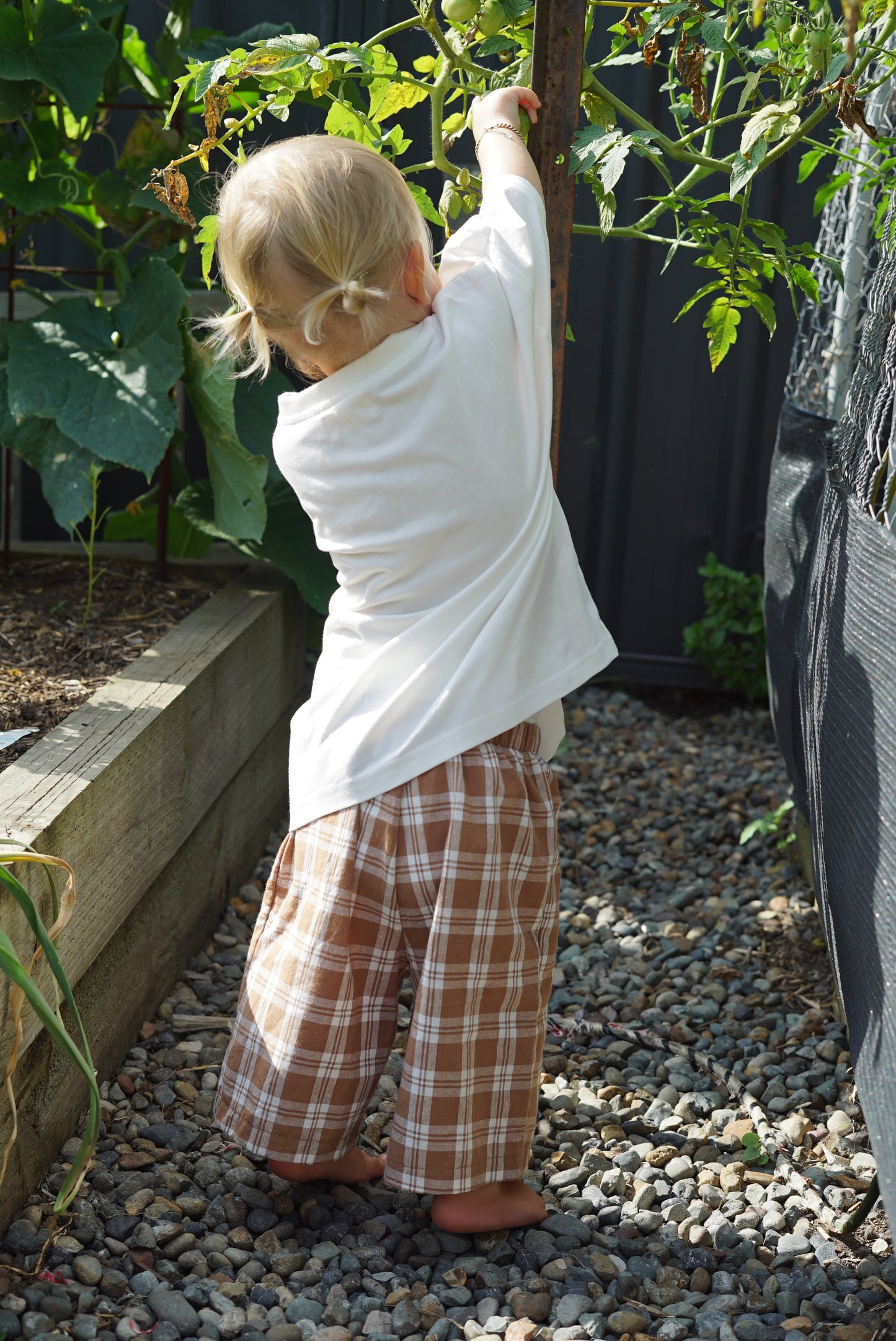 Reed Pants