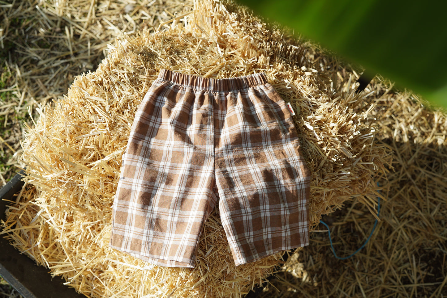 Reed Pants