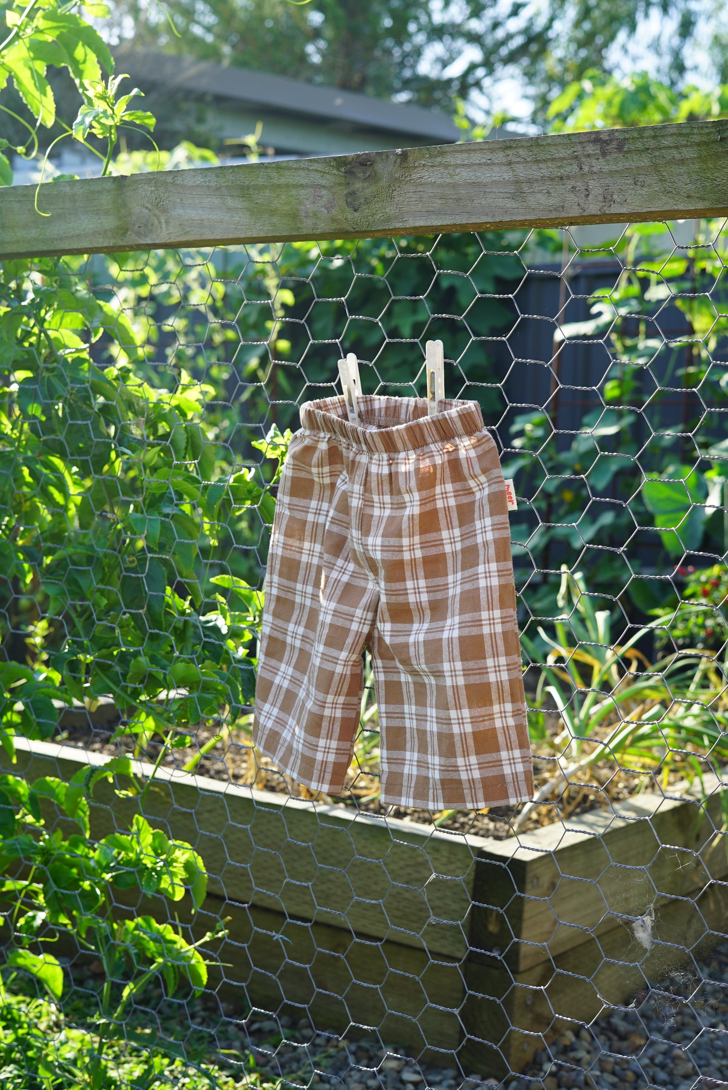 Reed Pants